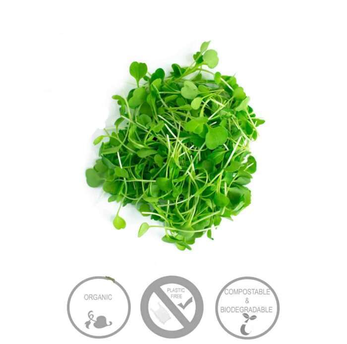 Microgreens (Rocket) (+30g) Green Heart Organics
