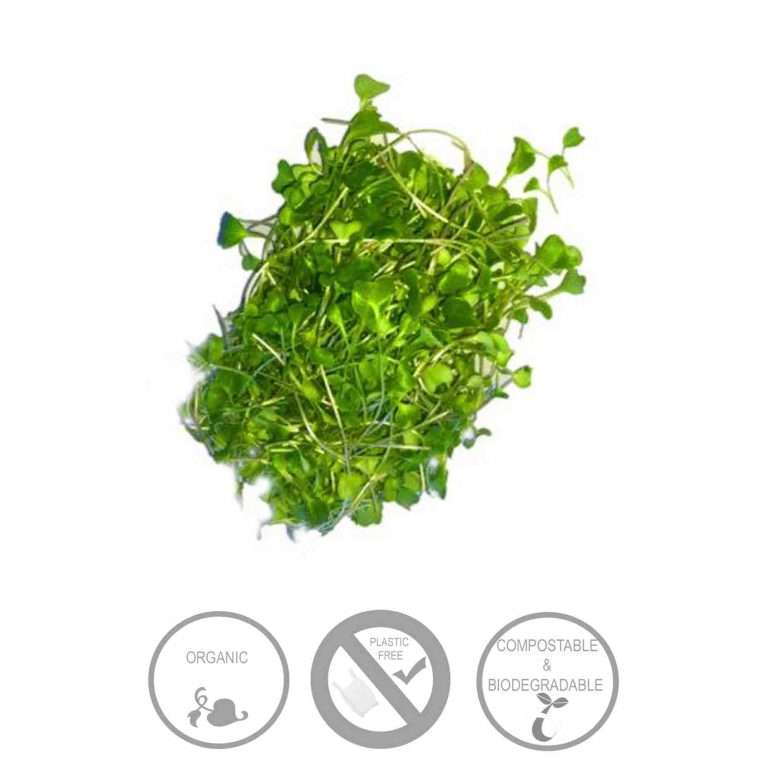 Microgreens (Broccoli) (+-100g)