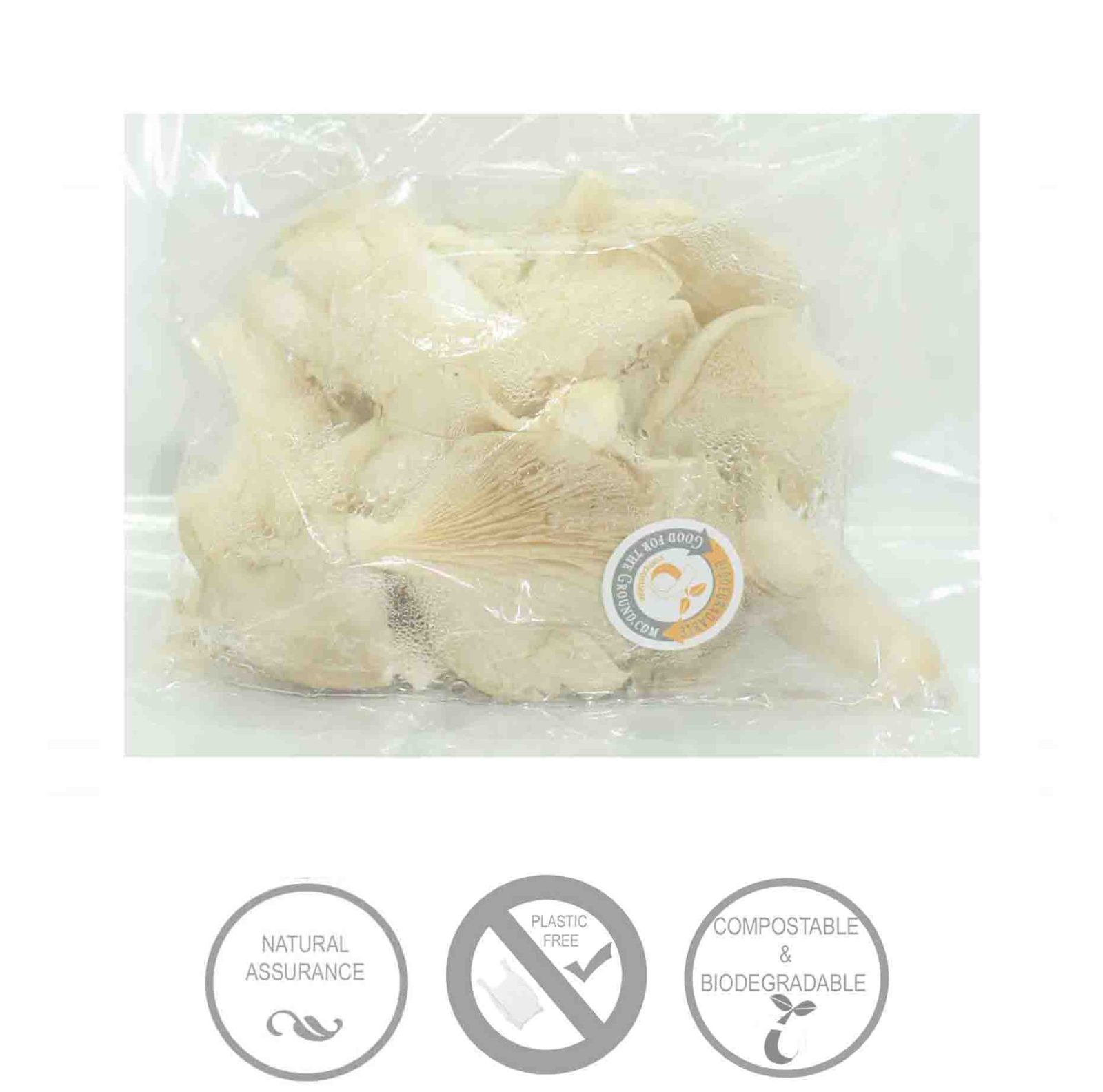 Oyster Mushrooms (Catering pack) (kg)