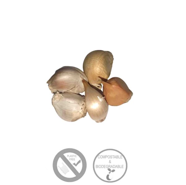 Garlic (100g)